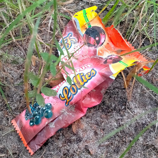 Lollies wrapper found in the forest