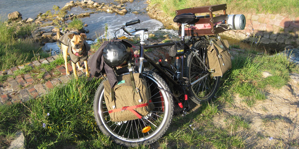 An adventurous bike tour with my dog.