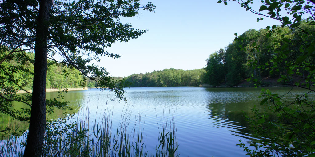 Lake Hellsee in Brandenburg.