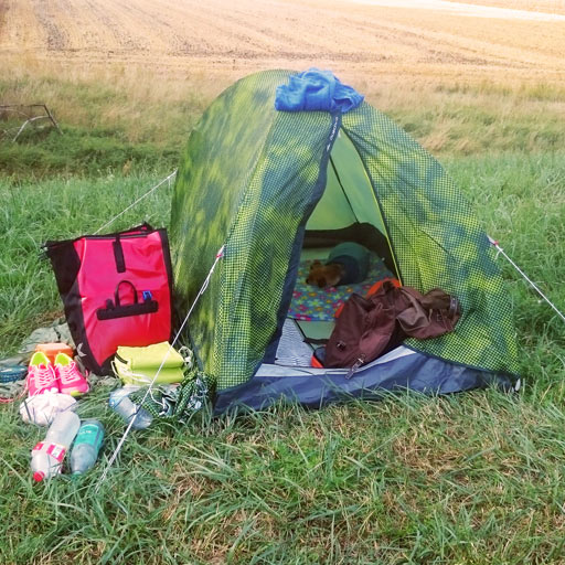The little green tent.