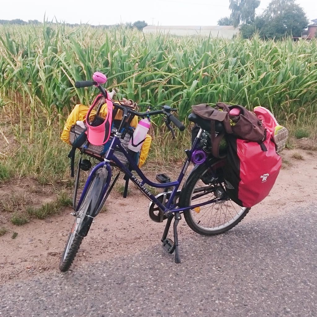 My Mom's heavy loaded bicycle.