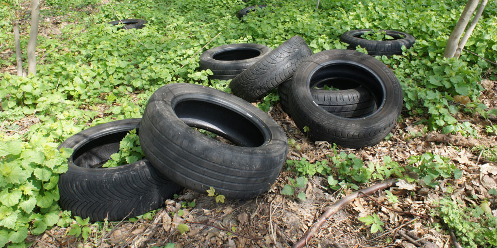 Old tires lying in the woods.