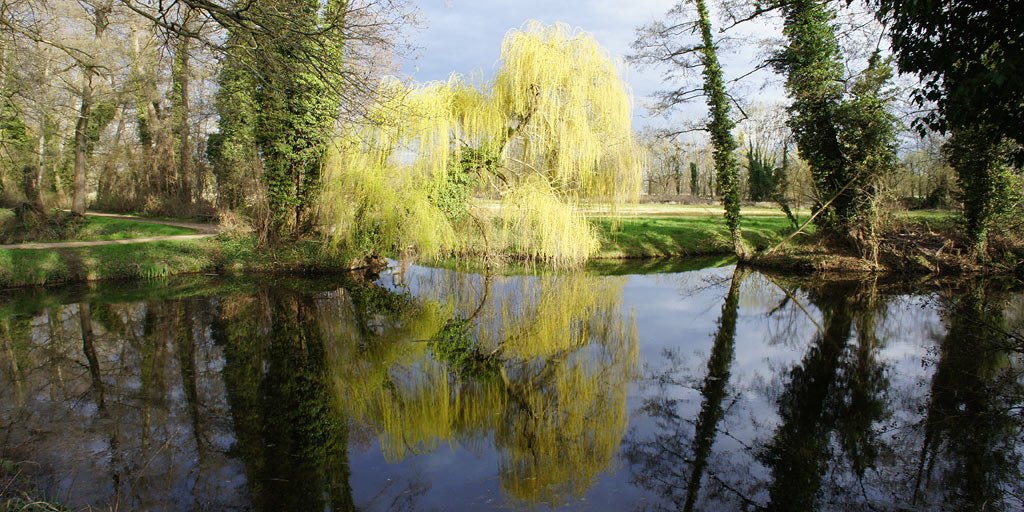 One of the ponds at the park in Marquardt.