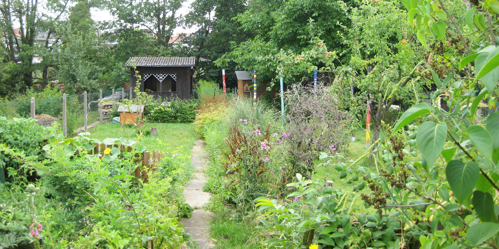 Sleeping in a garden shed.