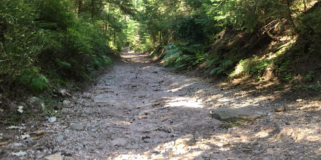 Rough terrain on the West Trail.