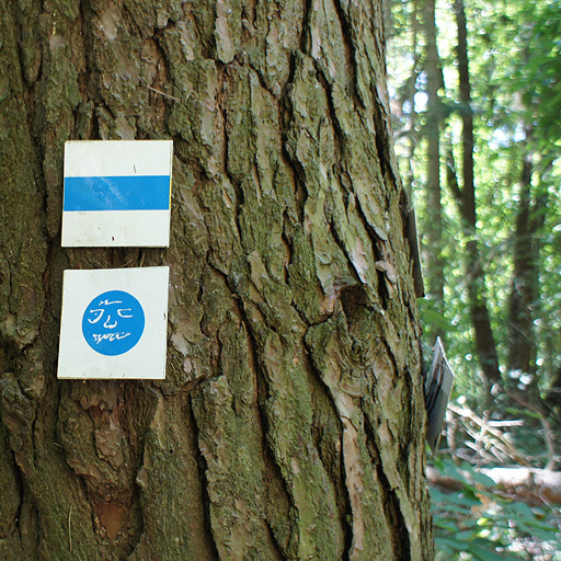 Someone drew a happy face on a trail marker.