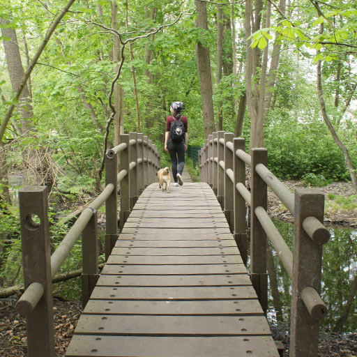 A woman and a dog crossing a bridge.