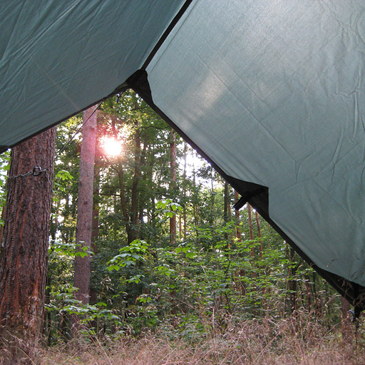 tarp with a view