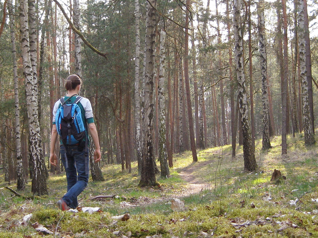 Hiking through the Düppeler forest.