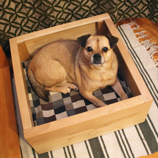 A dog testing a handmade dog bed.