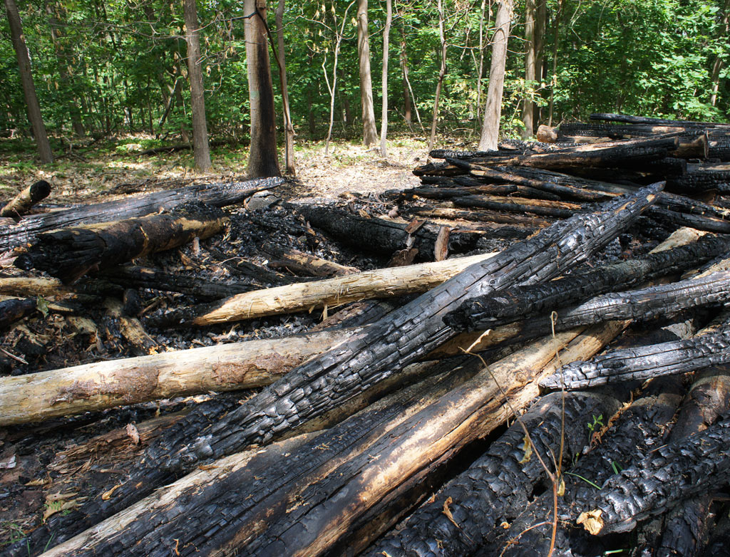 A stack of wood burned in a wildfire.