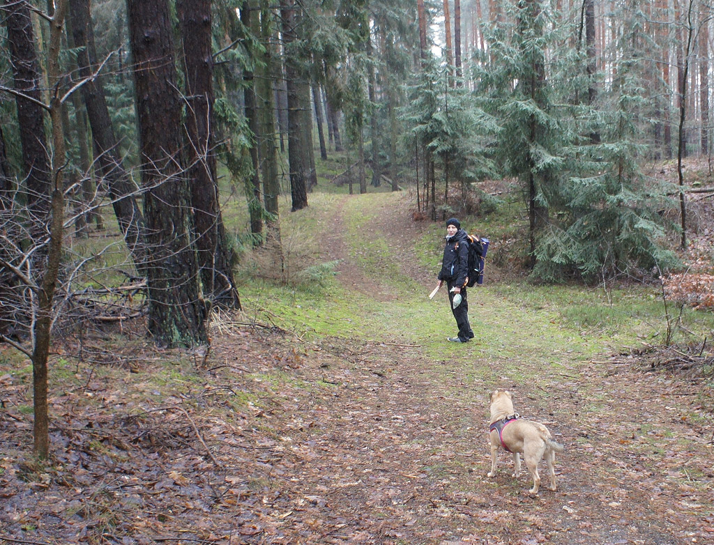 Hiking through the winter forest and picking up trash.