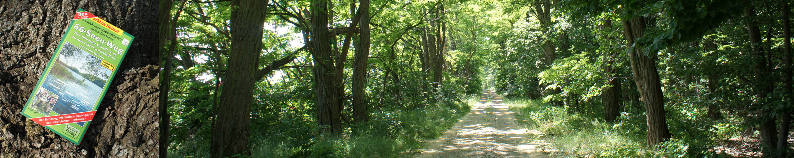 The 17 sections of the 66 lakes trail.