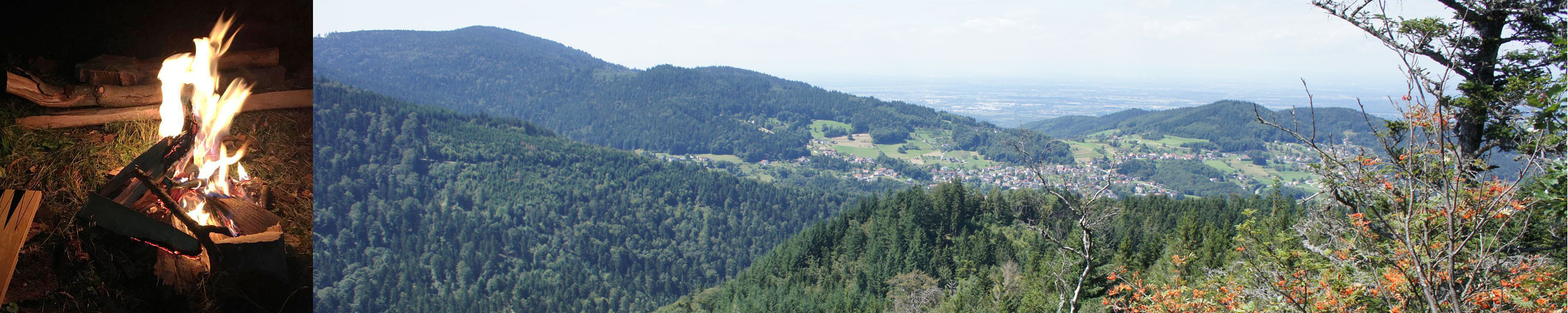 Backpacking through the black forest.